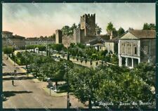 Reggio emilia reggiolo usato  Gambolo