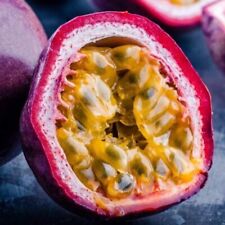 Passion fruit plant for sale  Fresno