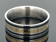 Schmuckjagd ring edelstahl gebraucht kaufen  Idar-Oberstein