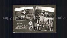 Cantina cooperativa vitivinico usato  Spedire a Italy
