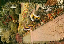 Picture postcard wisley for sale  NEWCASTLE UPON TYNE