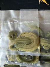 Preserved ragworm for sale  HOLYWELL