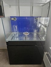 Marine fish tank for sale  CHESTER