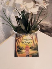 Livre cache cache d'occasion  Meyssac