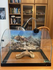 Acquario per tartarughe usato  Rho