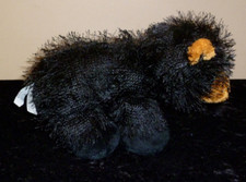 Black bear webkinz for sale  Hutchinson