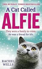 Cat called alfie for sale  UK