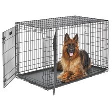 Midwest homes pets for sale Midwest homes pets for sale  Haltom City