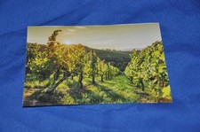 Postkarte weinberg gebraucht kaufen  Deutschland