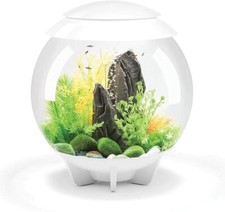 biorb fish tank stand for sale biorb fish tank stand for sale WALTHAM CROSS