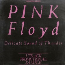 Pink Floyd ‎– The Wall / Delicate Sound Of Thunder 12" RARE PROMO SAMPLER LP comprar usado  Enviando para Brazil