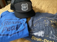 Berm peak congnitive for sale  Brandon