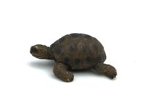 Schleich russian tortoise for sale  Victor