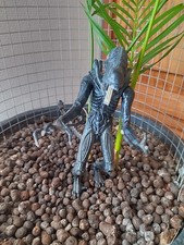 Figurine alien xenomorphe d'occasion  Suippes