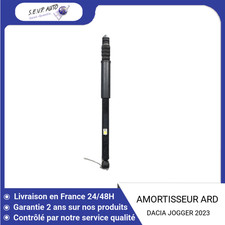 Amortisseur arriere droit d'occasion  Saint-Quentin