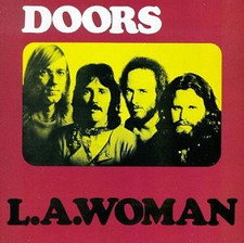 The doors . gebraucht kaufen  Berlin