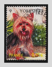 2011 4548 yorkshire d'occasion  Bourg-Saint-Maurice