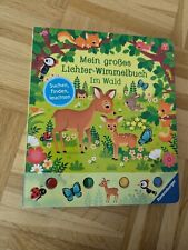 Großes lichter wimmelbuch gebraucht kaufen  Römerberg
