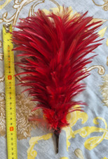 Plumet plumes coq d'occasion  Clermont-Ferrand-