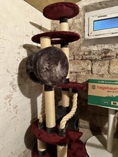 Kratzbaum nobby modell gebraucht kaufen  Dresden