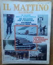Mattino illustrato 1978 usato  Roma