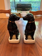 Pair labrador dog for sale  Tiger