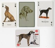 Weimaraner collection single for sale  COLEFORD