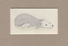 Lucy dawson bedlington for sale  SPALDING
