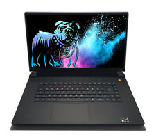 Dell alienware m17 gebraucht kaufen  Magdeburg