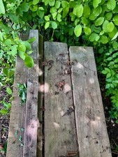 Seltene alte eichenbalken gebraucht kaufen  Schorndorf