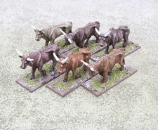 miniature zulu for sale miniature zulu for sale  WOLVERHAMPTON