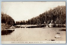 Usado, Cartão postal Morin Heights Quebec Canadá lago artificial de Seale c1910 foto RPPC comprar usado  Enviando para Brazil