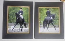 Set framed matted for sale  Wellington