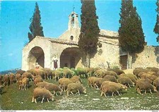 Animals sheep eygalières d'occasion  Expédié en Belgium