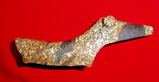 Authentic fine spotted for sale  Naples