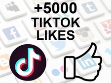 5.000 like real usato  Bedizzole
