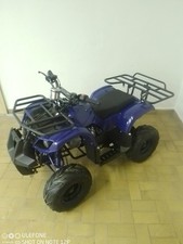 Kinderquad atv quad gebraucht kaufen  Bünde