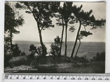 Cartolina liguria varazze usato  Italia