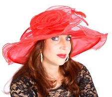 Eleganter damenhut rot gebraucht kaufen  Kirchheim b.München