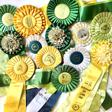 Ribbons rosettes lot for sale  Snohomish