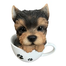 Adorable yorkie pup for sale  Cumberland Center