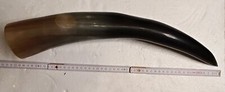 Trinkhorn wikinger 50cm gebraucht kaufen  Bad Zwesten