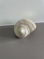 Coquille escargot mer d'occasion  Craponne