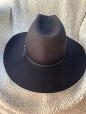 Charlie horse cowboy for sale  Trafford