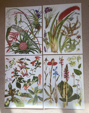 Vintage bookplates prints for sale  MALMESBURY