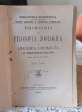 Goethe principi filosofia usato  Napoli