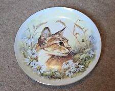 Abyssinian cat plate for sale  CARLISLE