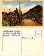 Cartão postal em Tucson Mountain Park Tucson Arizona comprar usado  Enviando para Brazil