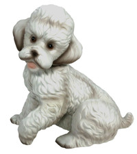 Vintage poodle puppy for sale  Gardner