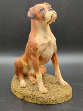 Boxer dog sitting for sale  LEEDS